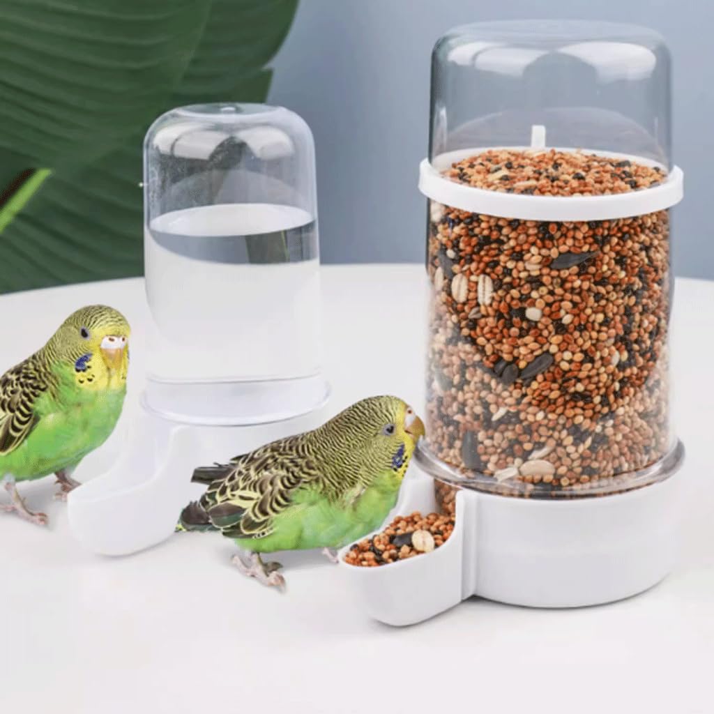 Mangiatoia per Uccelli Distributore Automatico di Acqua per Uccelli da Interno, Trasparente, Confezione da 2 mangiatoie per Uccelli, Contenitore per Alimenti per pappagalli