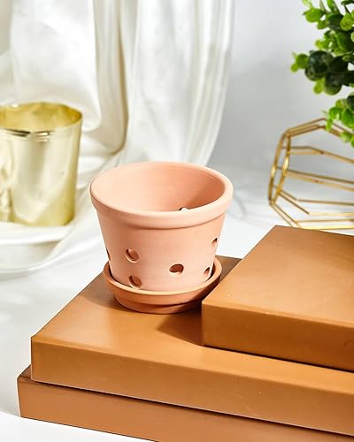 Miniatura 7 de vensovo Macetas de orquídea de terracota de 4 pulgadas con agujeros y platillos, 6 macetas pequeñas de orquídea de arcilla para trasplantar, macetas