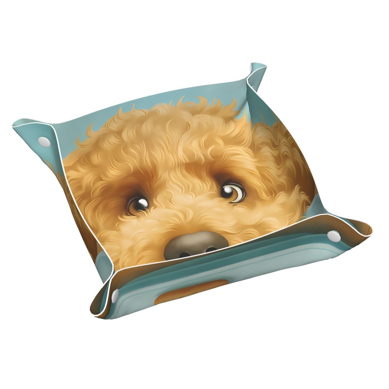 HLBSDM Lovely Dog and Cookie Tray Men's Leather Valet Parking Portable Entrance Trays Bedside Storage Box