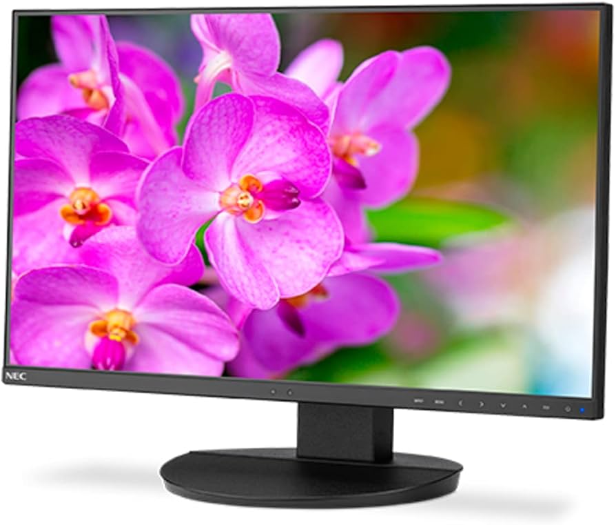 Amazon.com: NEC EA241F-BK 24 Full HD Business-Class Widescreen