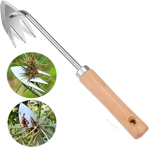 Extractor de malezas de acero inoxidable mejorado, nueva herramienta de deshierbe de desarraigo de arraigo, herramienta portátil para deshierbar de