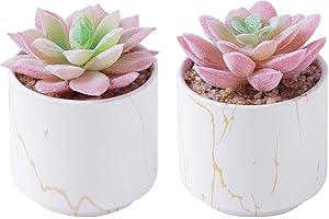 zenmag Artificial Succulents Plants, Mini Fake Succulents in Ceramic Pots