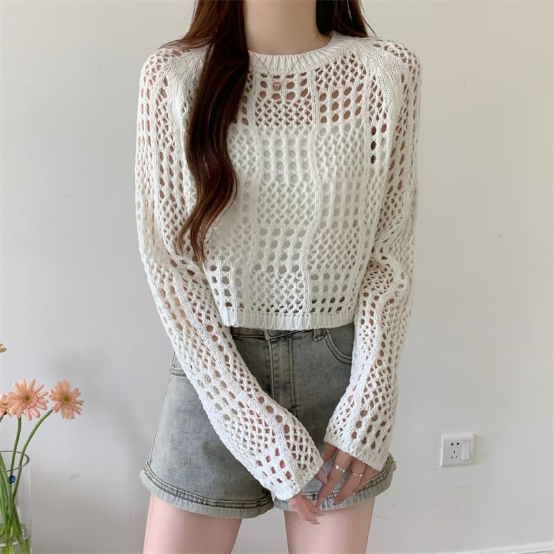 Image of ICW Women's Knitted Crochet Transparent Long-Sleeve Hollow Out Sheer Pullover Top T-Shirt Sweater Dn61 (One Size Fit XS-S-M-L)