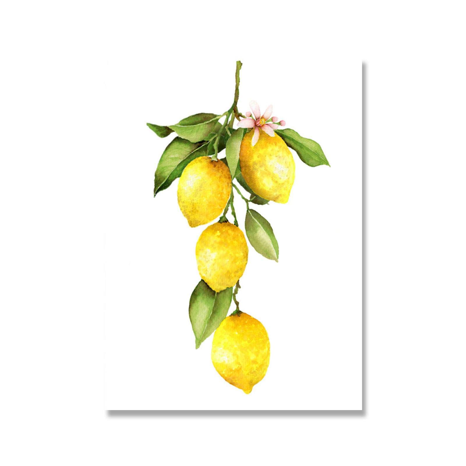Rumlly Citron Toile Peinture Imprime Cuisine Mur Art Décor Citron Sur La Branche Fruits Photos Maison Chambre Décoration Murale Affiche 30x50 Cm Sans Cadre
