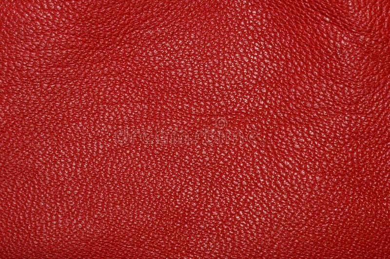 Vista 5 de elevenstar Chaqueta de cuero estilo Cafe Racer para hombre