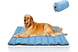 Chuck It! Outdoor Dog Bed: The Ultimate Comfort for Your Canine Companion