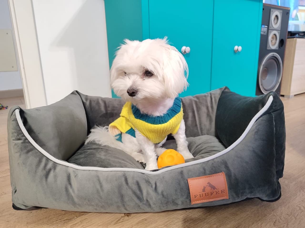 Lux Cama para Perros | 60x40 cm -|Sofá Acogedor para Perros Pequeños, Cómodo y Lavable con Funda Extraíble | Ideal para el Descanso y Relajación de Tu Mascota