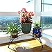 Elegant Arch Design Black Metal Plant Stand / Flower Pots Shelf Unit / Decorative Planter Stand - MyGift