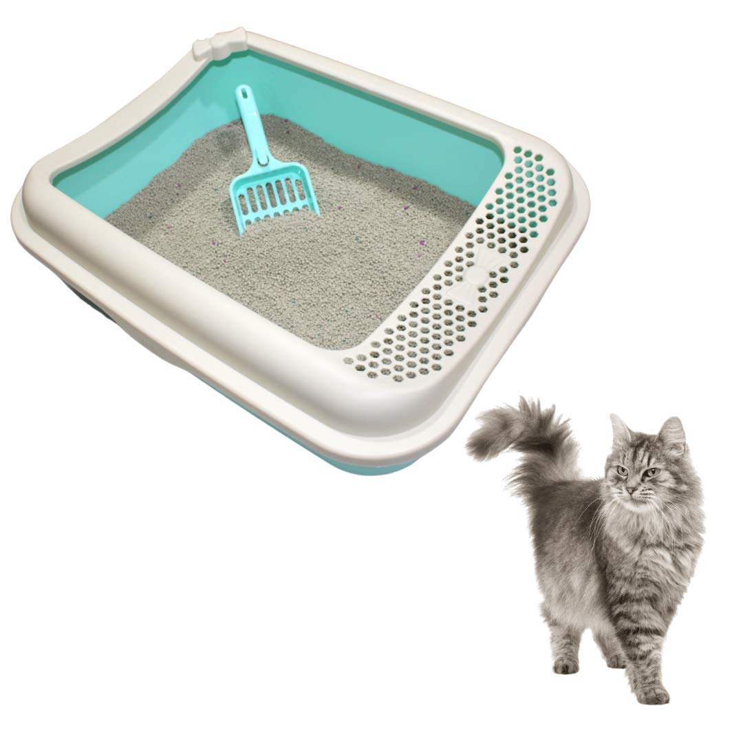 TAIYO PLUSS DISCOVERY® Cat Litter Tray, Size: (40X10X30 cm) (LXWXH), Cat Litter Tray with Rim/Semi Closed Style of Cat Litter Basin with Litter Scoop (Coloe: Green) (B08TWWWMZM) Amazon Price History, Amazon Price Tracker