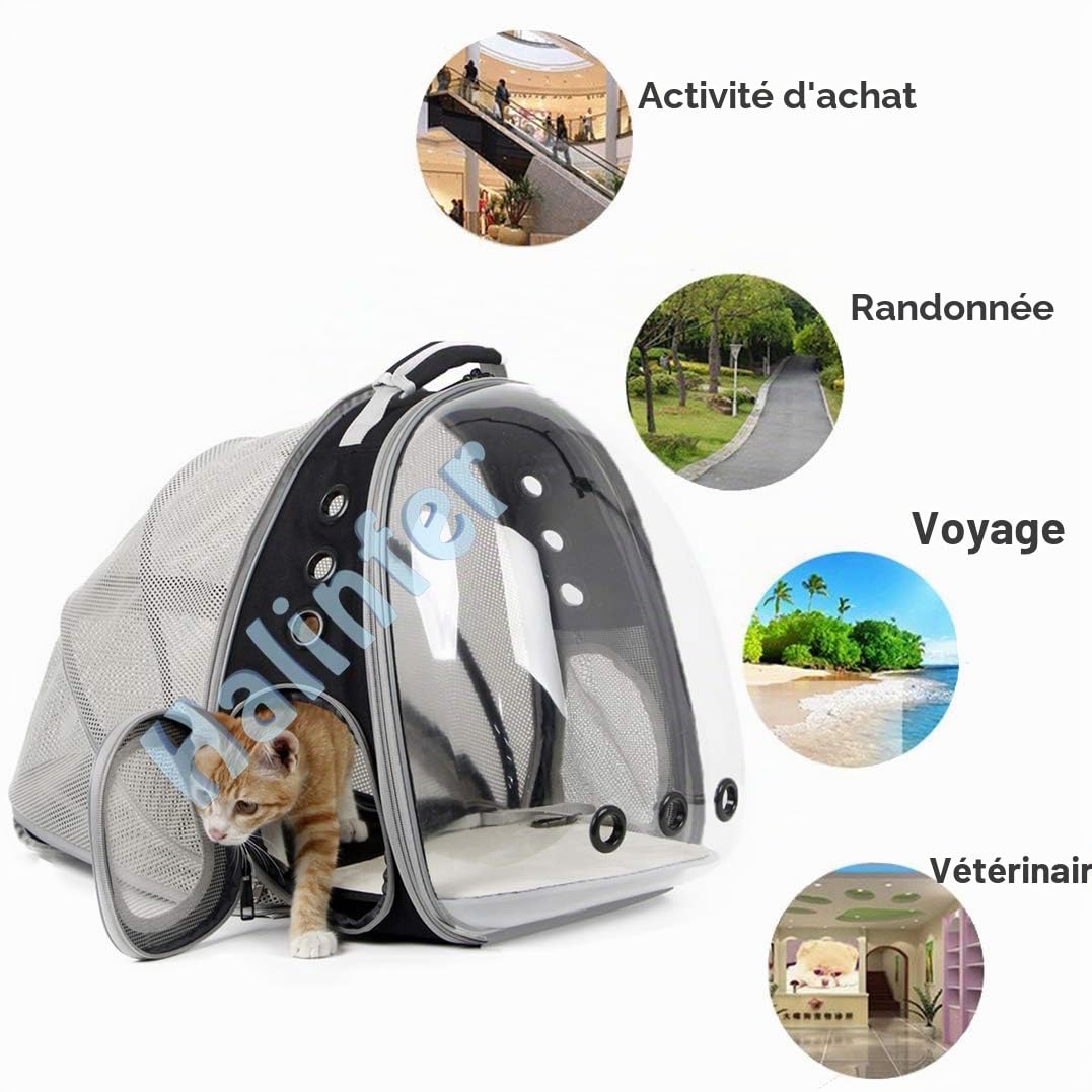 Sac à Dos Extensible de Transport pour Chat - Capsule Spatiale - Sac à Dos de Transport pour Petit Chien et Chat - Sac à Dos de Transport avec fenêtre Rigide Transparente (Noir, Extensible)
