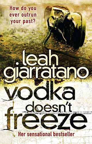 Vodka Doesn't Freeze view 2