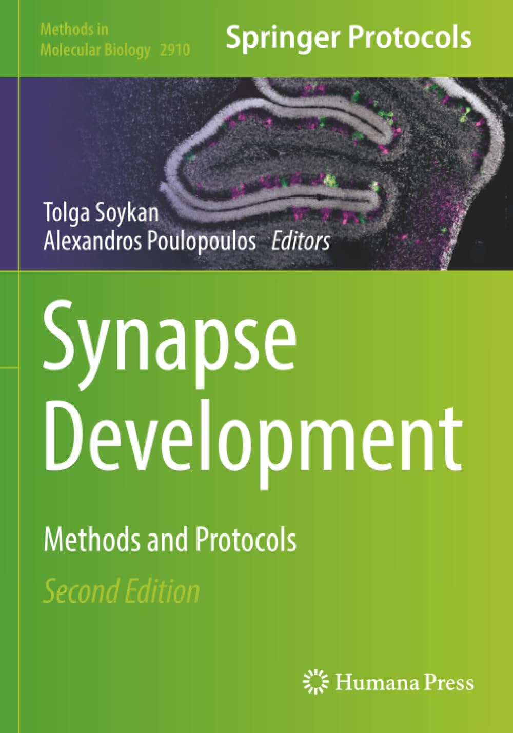 Synapse Development: Methods and Protocols (Methods in Molecular Biology)