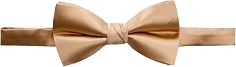Spring Notion Mens Solid Color Satin Microfiber Bow Tie