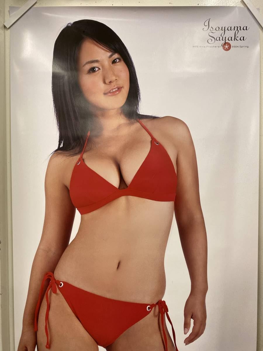 【新品】磯山さやかポスター ★プレイボーイ等身大ポスター Amazon.co.jp: 307ポスター 磯山 さやか 応募者全員サービス