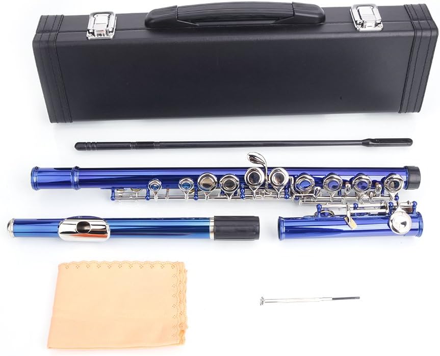 Closed Hole Flutes C 16 Key for Beginner Kids Student