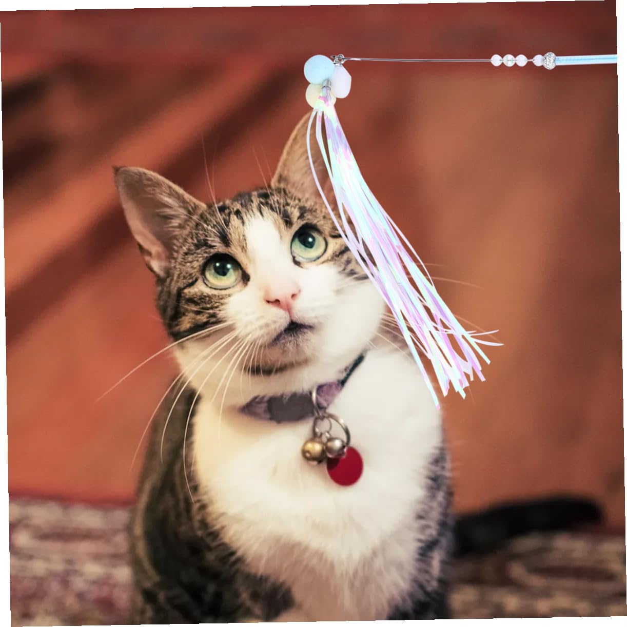 BESPORTBLE 9pezzi Giocattolo Interattivo Per Gatti Di Pendenti Colorati Con Piume e Campanelli Giochi Teaser Per Gattini Accessori Per Divertimento e Esercizio Felino