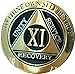 RecoveryChip 11 Year AA Medallion Elegant Black Gold Silver Bi-Plated Alcoholics Anonymous Chip