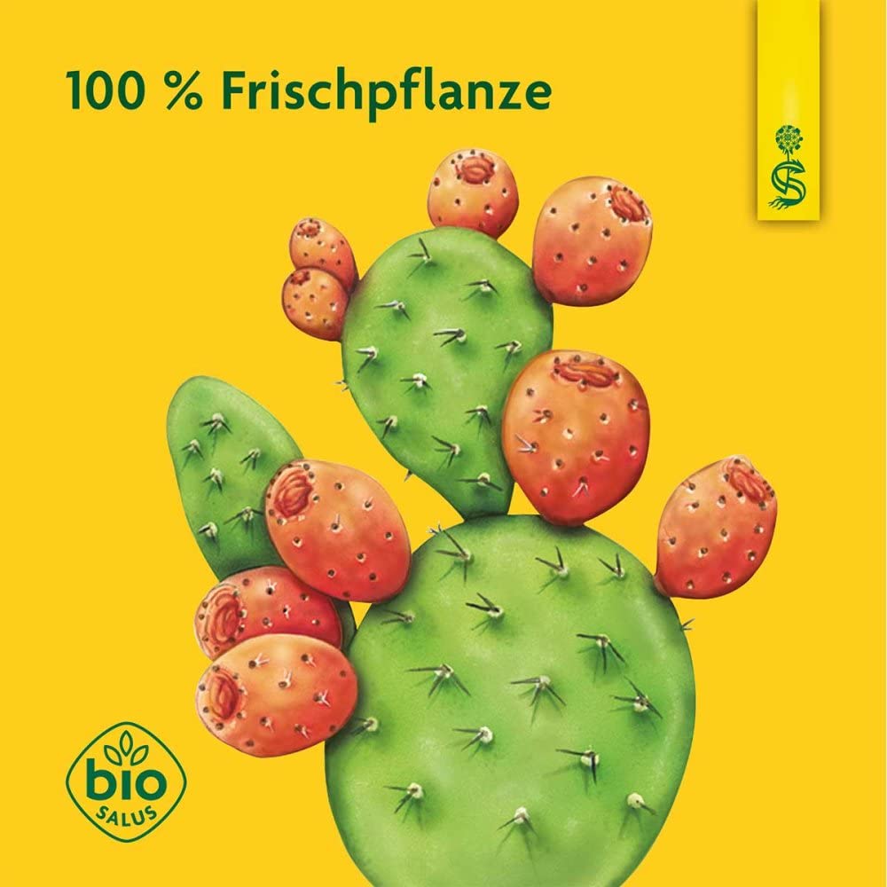 KAKTUSFEIGE Saft Bio Schoenenberger 200 ml Lebensmittel & Getränke