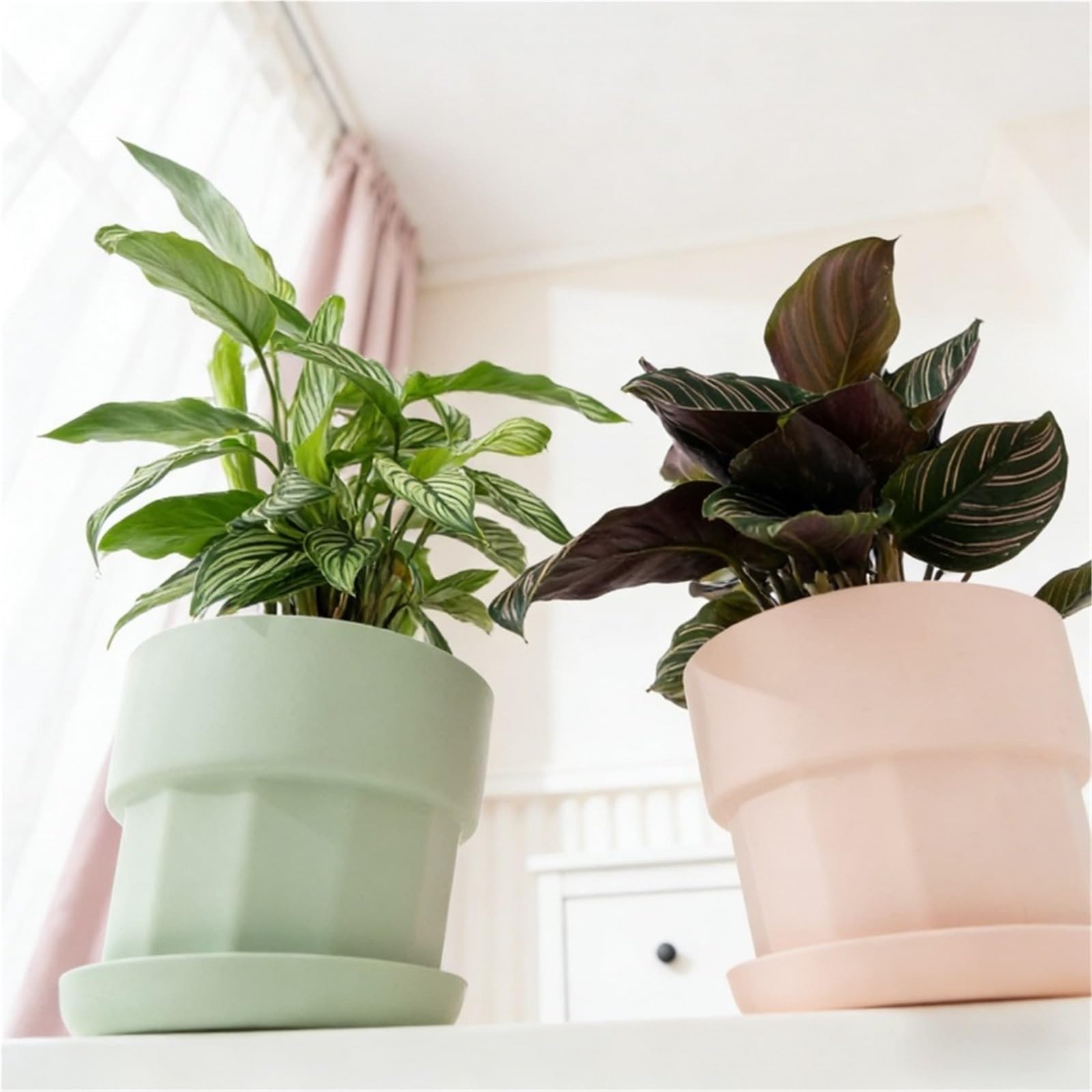 Pot de Fleur Radis Succulent et Vert, Simple Respirant, 1 pièce, for Le Balcon la Maison pour Graines et Semis(Blue,S 13.8cm)