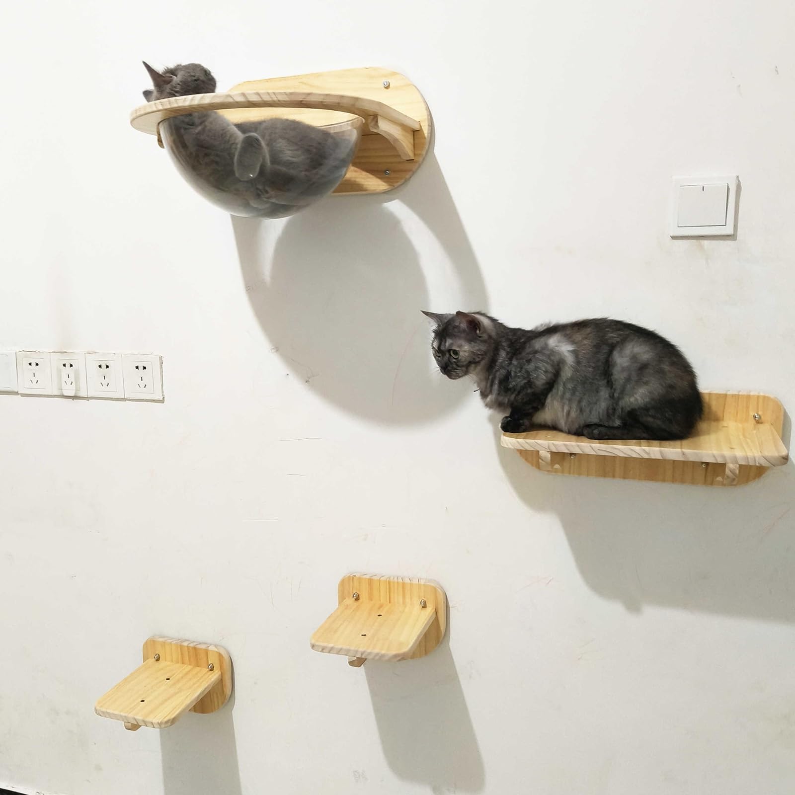Mensole da parete in legno trasparente, letto a capsula per gatti, mobili per interni, posatoio per riposare e giocare comodamente