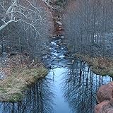 My Sounds I: Music from Circadia, Urban Scarecrow, Emergency Pants (Original Motion Picture...