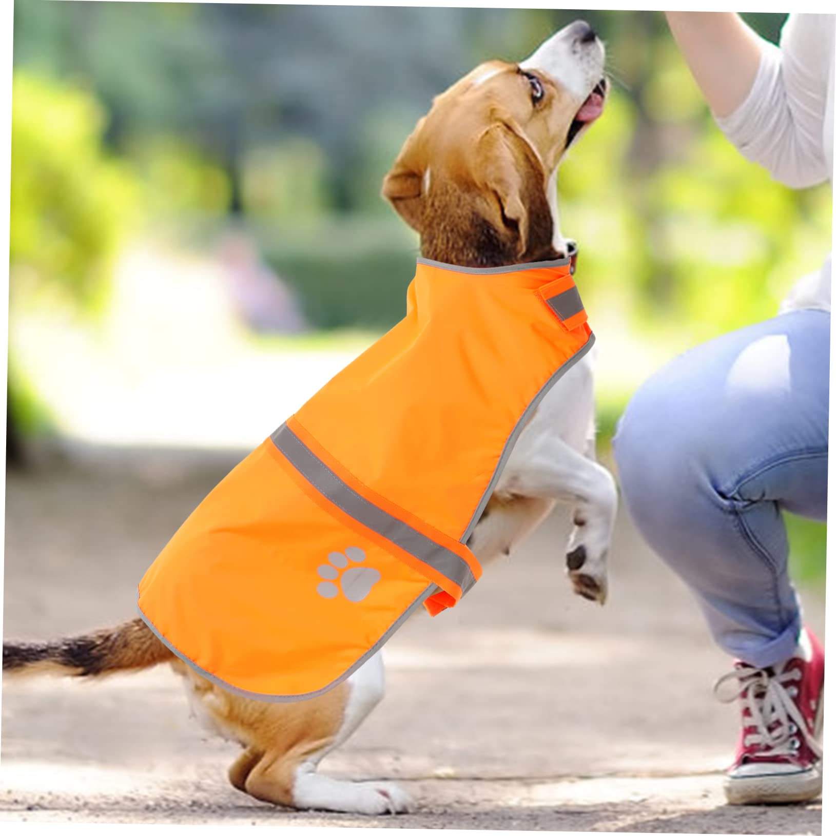 Kisangel 4 Stücke Einstellbare Reflektierende Hund Weste Für Outdoor Walking Wandern Fluoreszierende Haustier Weste