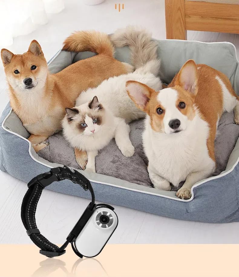 Dog Camera Collar with Video Record Sport Cam,Action Cameras for Pet and Cat Go Pro,Suitable for 15 - Additional View