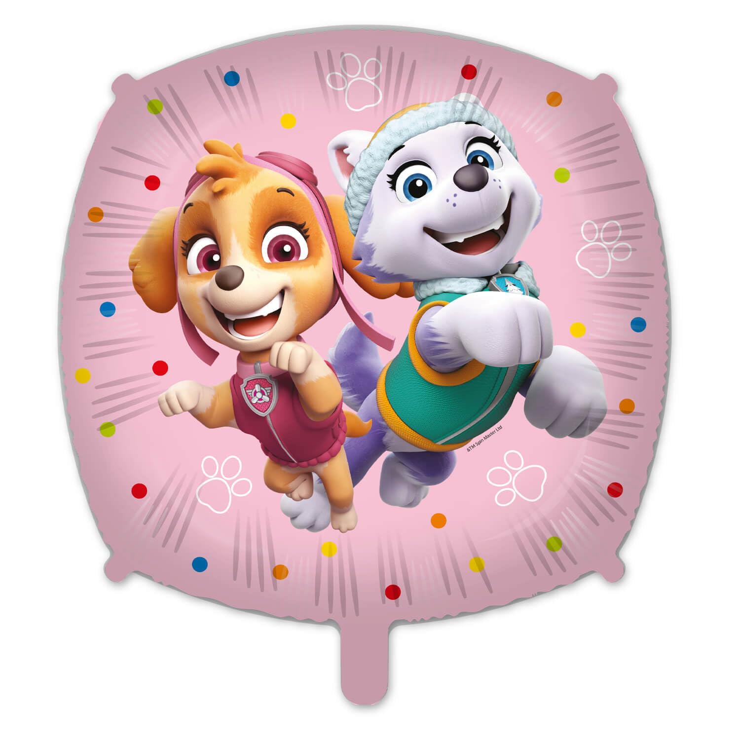 Procos 10215312DY - Set da festa Skye e Everest, stoviglie monouso da 46 pezzi per feste di compleanno e feste a tema per bambini, decorazione della tavola