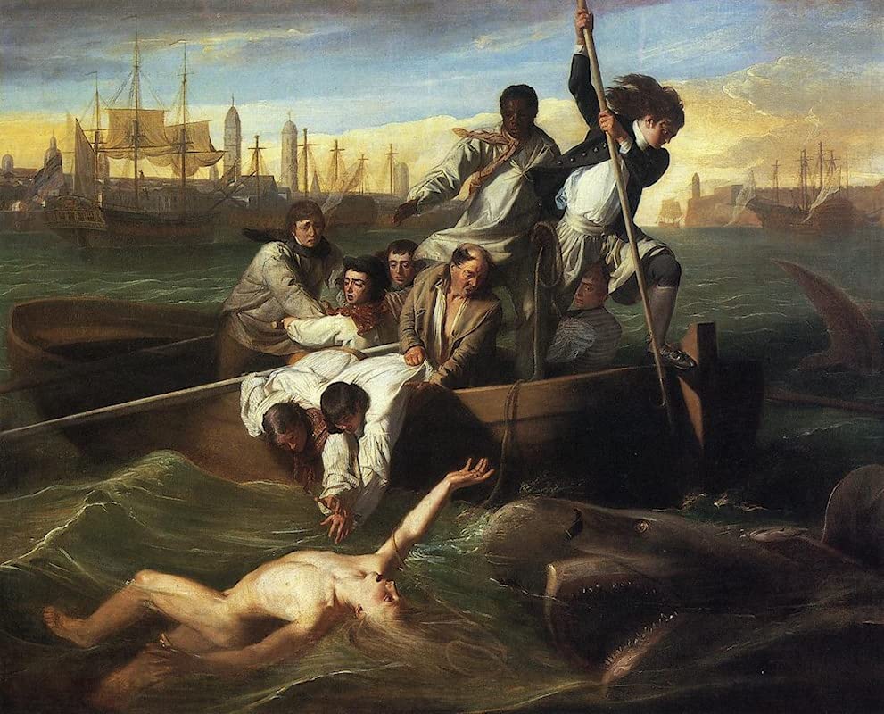 Peinture sur toile Watson et le requin pour habiller un mur vide de salon