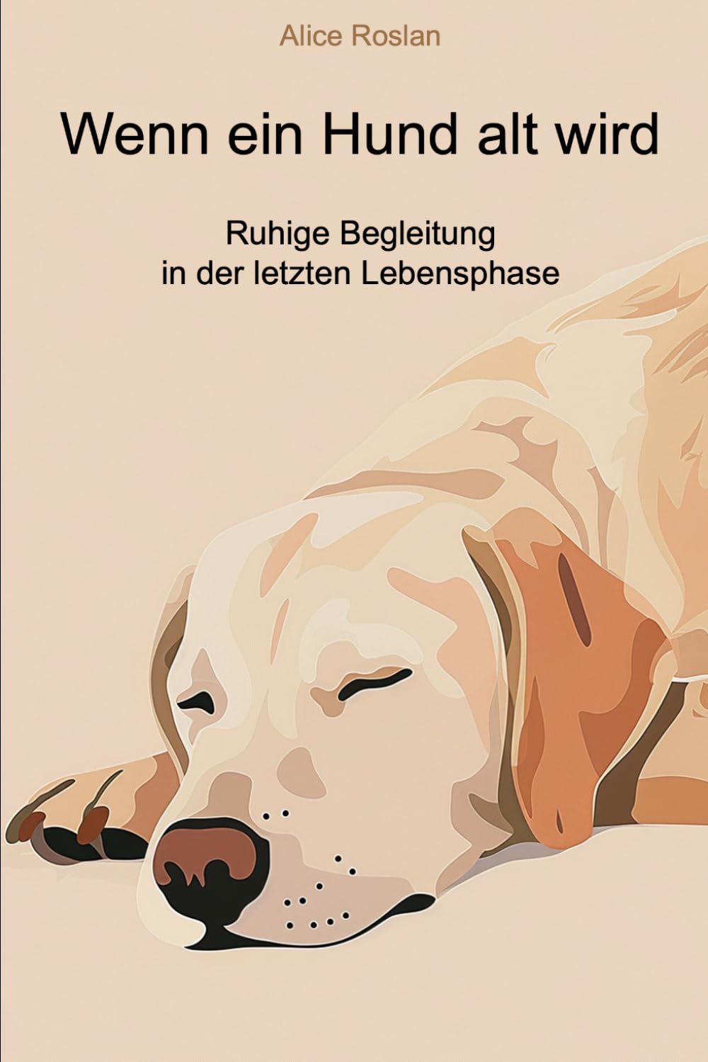Wenn ein Hund alt wird: Ruhige Begleitung in der letzten Lebensphase