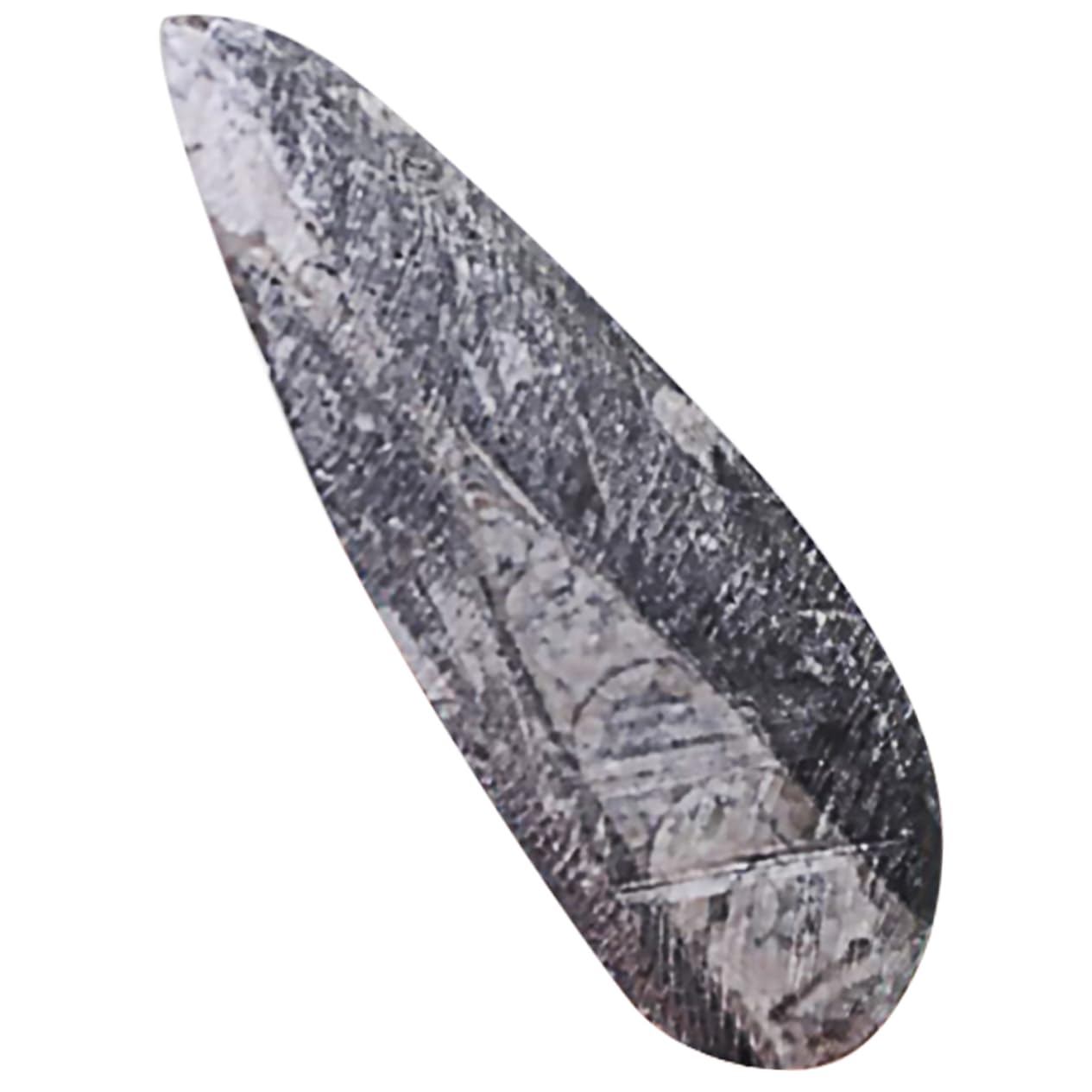 ibasenice Campione Fossile Orthoceras Naturale Paleo-oceano, Decorazione da Tavolo Educativa per Ragazzo Ragazza, Materiale Didattico Scientifico per Studio e Collezione