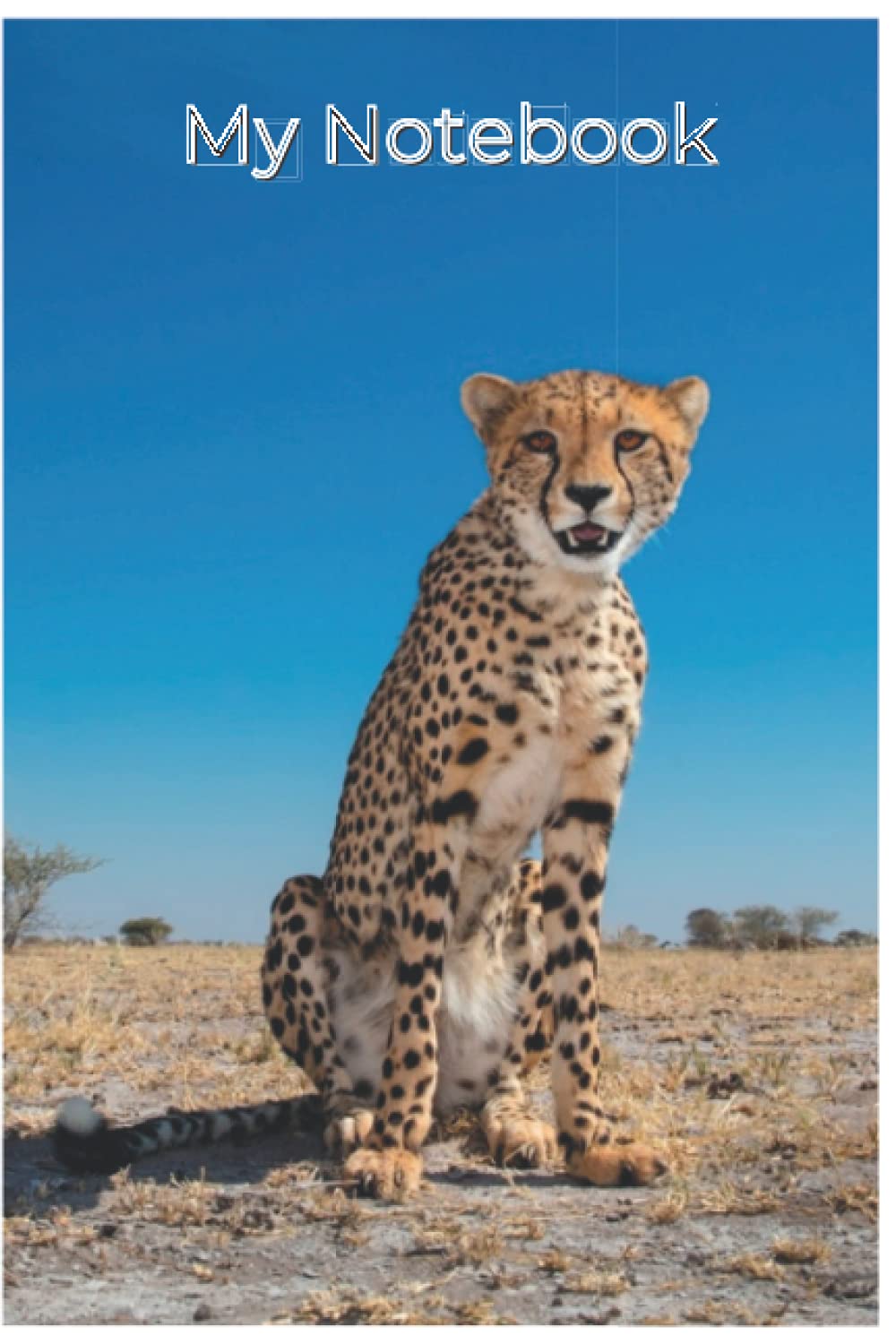 Cheetah Notebook: cute cheetahs gift for young kids that love big cats and nature (blank lined notebook) cheetah diary / cheetah journal