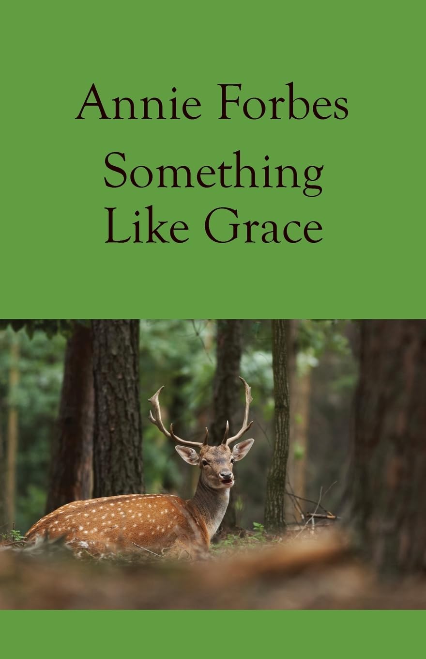 Something Like Grace