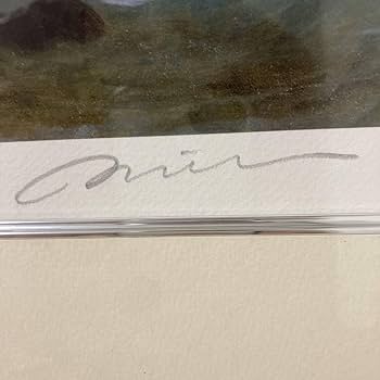 Amazon.co.jp: ウィリアムアドルフブグロー ヴィーナスの誕生