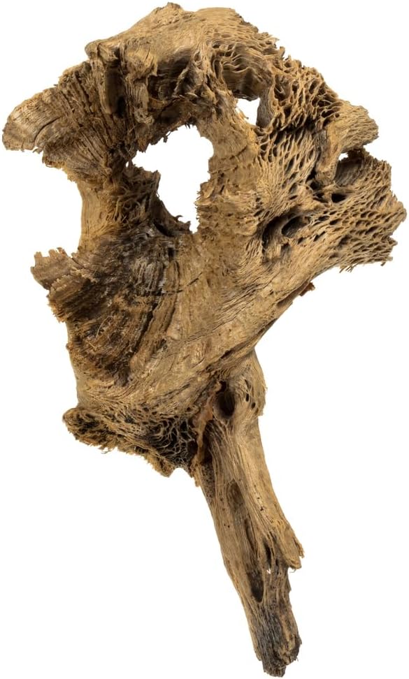 Vickerman 651933-4 -18" Cholla Odds and Ends (1.5CF Cs) (H4COE000) Dried and Preserved Pods