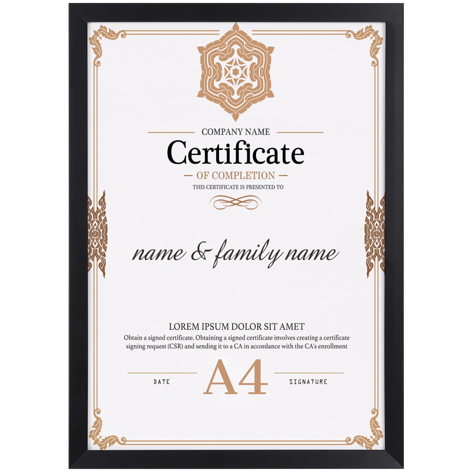 Ditwis A4 Picture Frame Black, A4 Photo Frame for Certificates, Documents, Artwork and Photos (21x29.7 cm), Modern Frame for Living Rooms, Bedrooms and Offices
