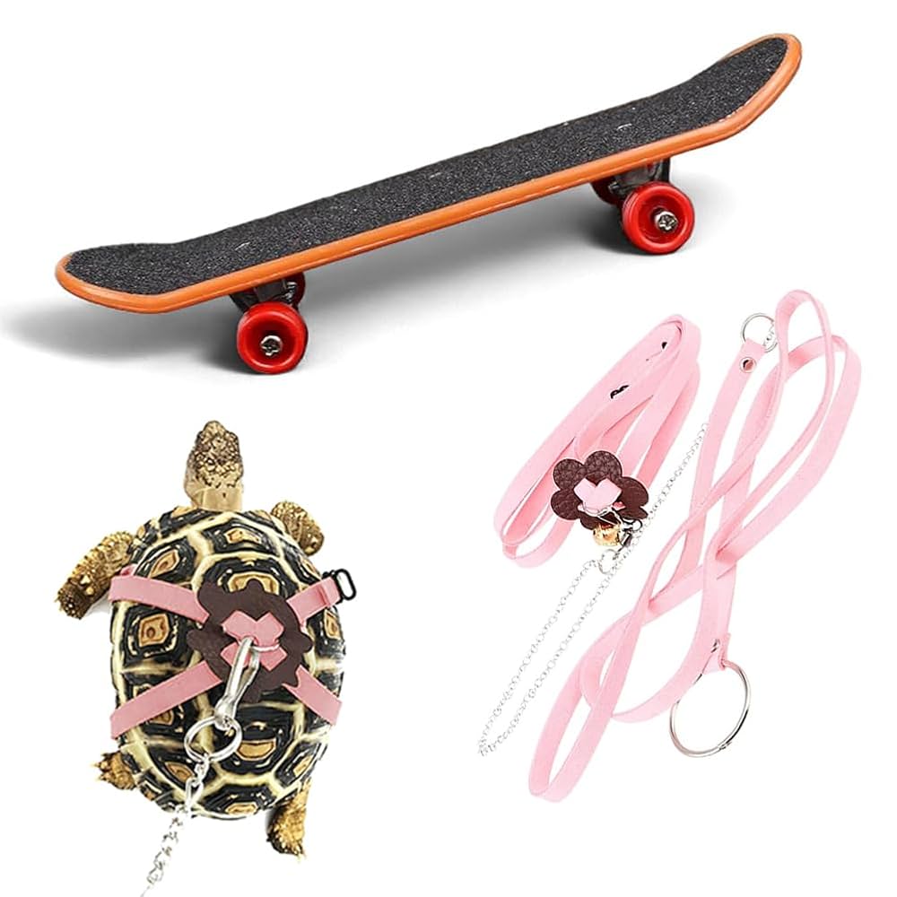 Amazon.com : Turtle Toys Adjustable Harness Leash & Funny
