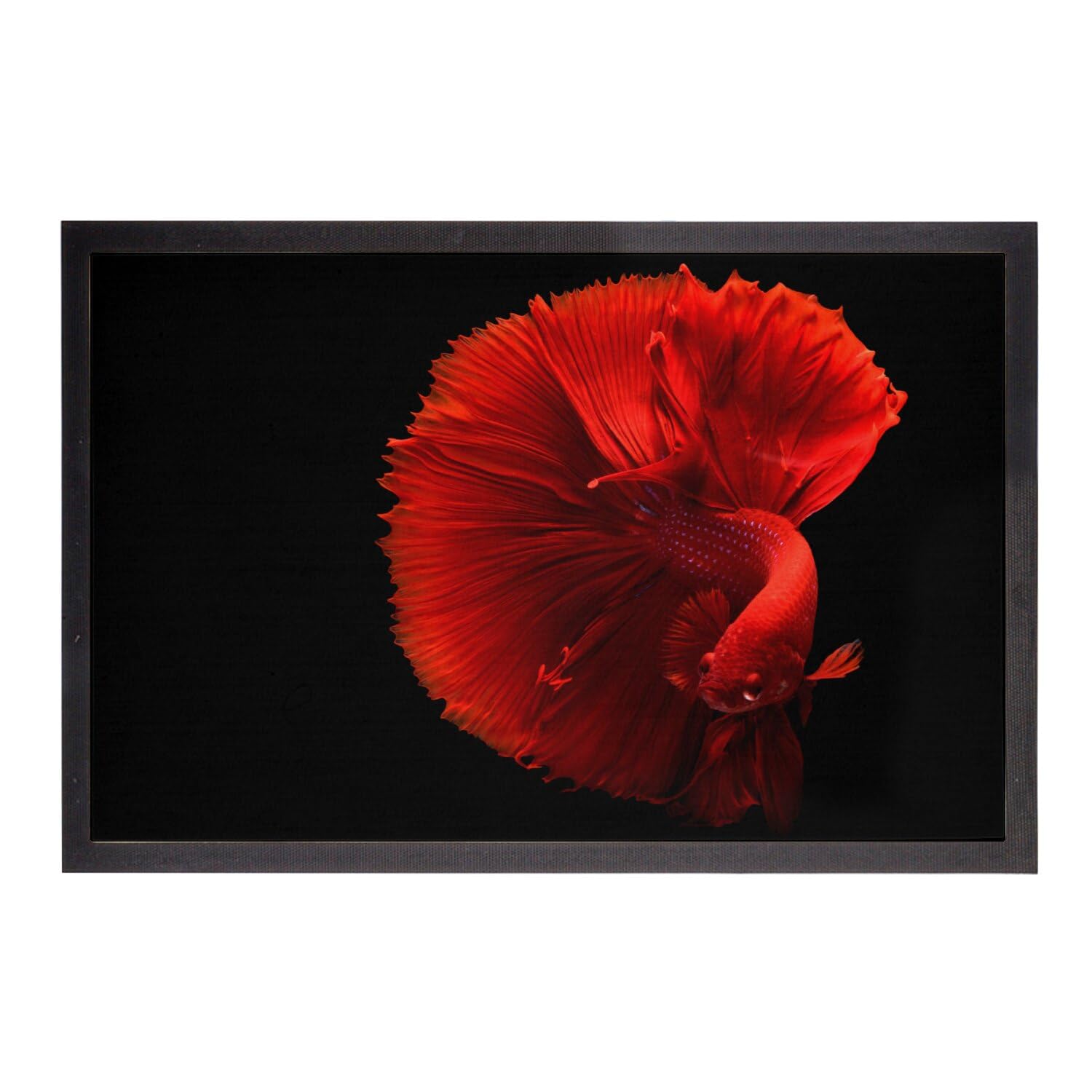 Paillasson Poisson Combattant Rouge 75x50cm le tapis d'entrée idéal anti-saleté
