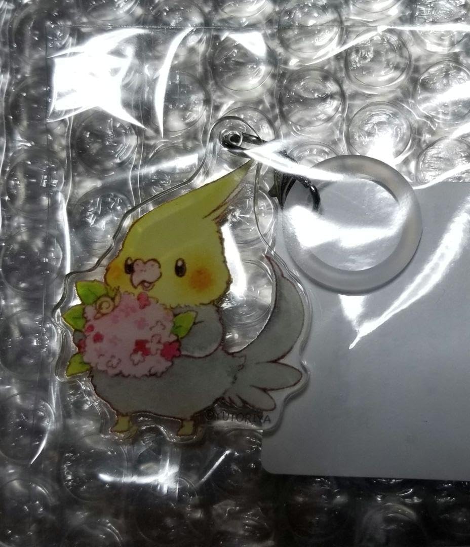 東方project チルノ だいちゃん 水着 美少女 クリアファイル VY21 楽天