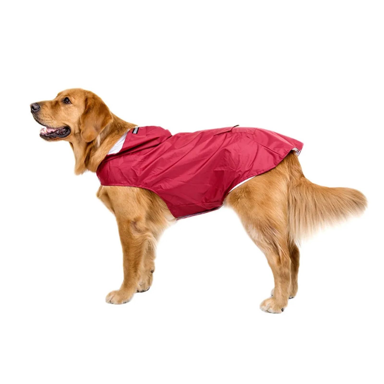 Veste de pluie extérieure pour chien 5XL évitant les poils mouillés
