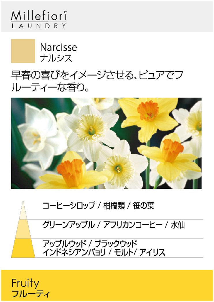 Amazon.co.jp: Millefiori ソフトナー(洗濯用柔軟剤) 1L ナルシス