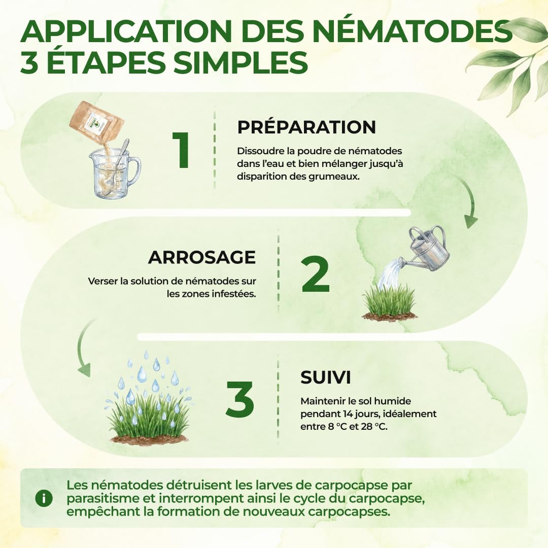 GREEN GUARDIA Super Nématodes SC contre les grillades de taupes, les becs des prairies et les terres extérieures – 200 millions (400 m²) – Produit biologique pour lutter efficacement contre les