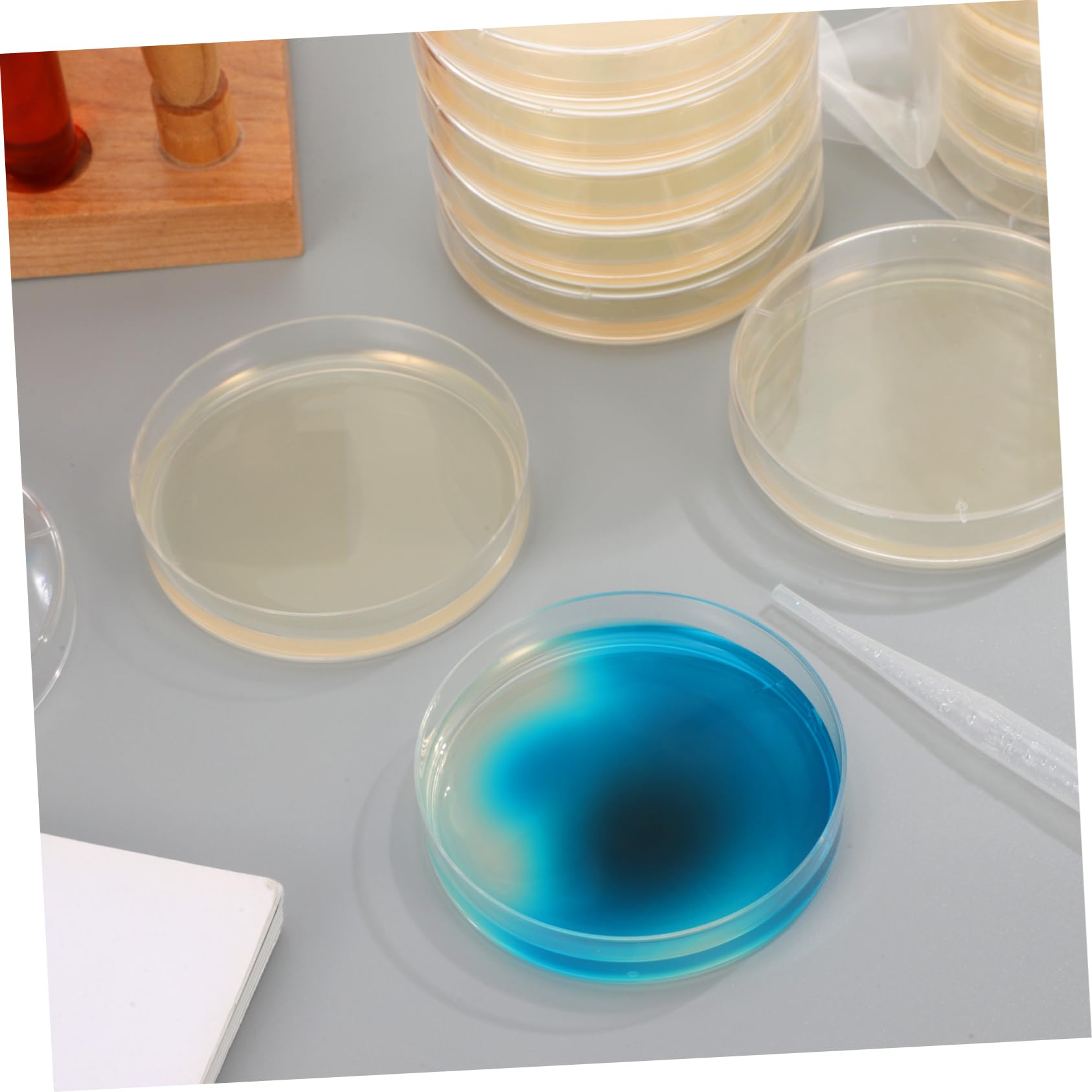 Didiseaon 20 Placas de Agar Nutritivo Prevertidas de 7 CM para Cultivo Microbiológico, Accesorio de Laboratorio Portátil Adecuado para Experimentos Científicos y Clases de Ciencias