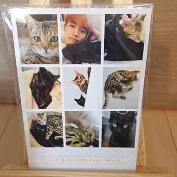 ジュノ 2PMジャニー＆ウォリBOOK(Feat. JUNHO) Amazon.co.jp: 2PM ジュノ ジャニー ＆ ウォリ BOOK Feat.JUNHO