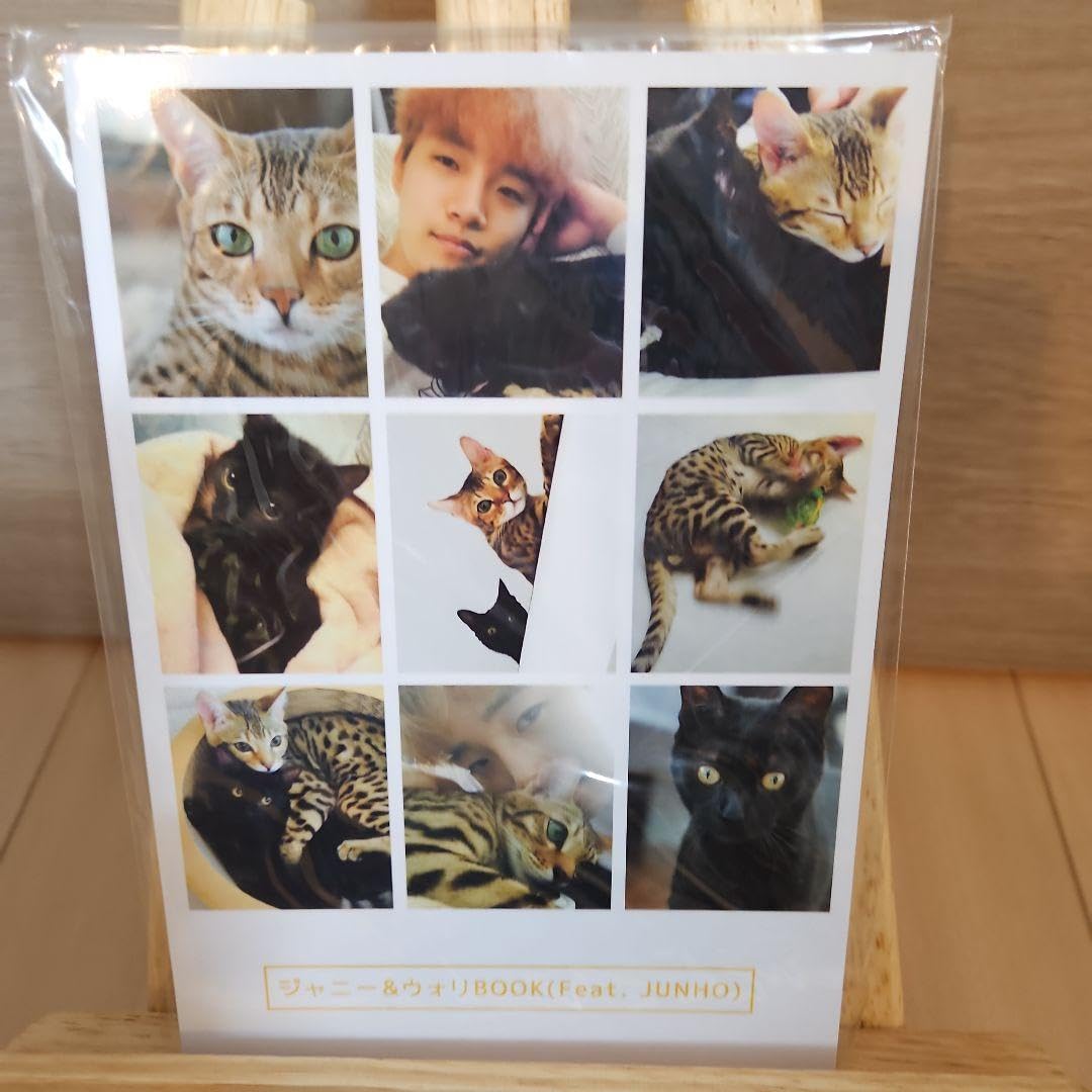 ジュノ　ジャニ&ウォリ　フォトブック ジャニウォリBOOKを見てみました | ＊2PM JUNHOペンまちゃの独り言＊