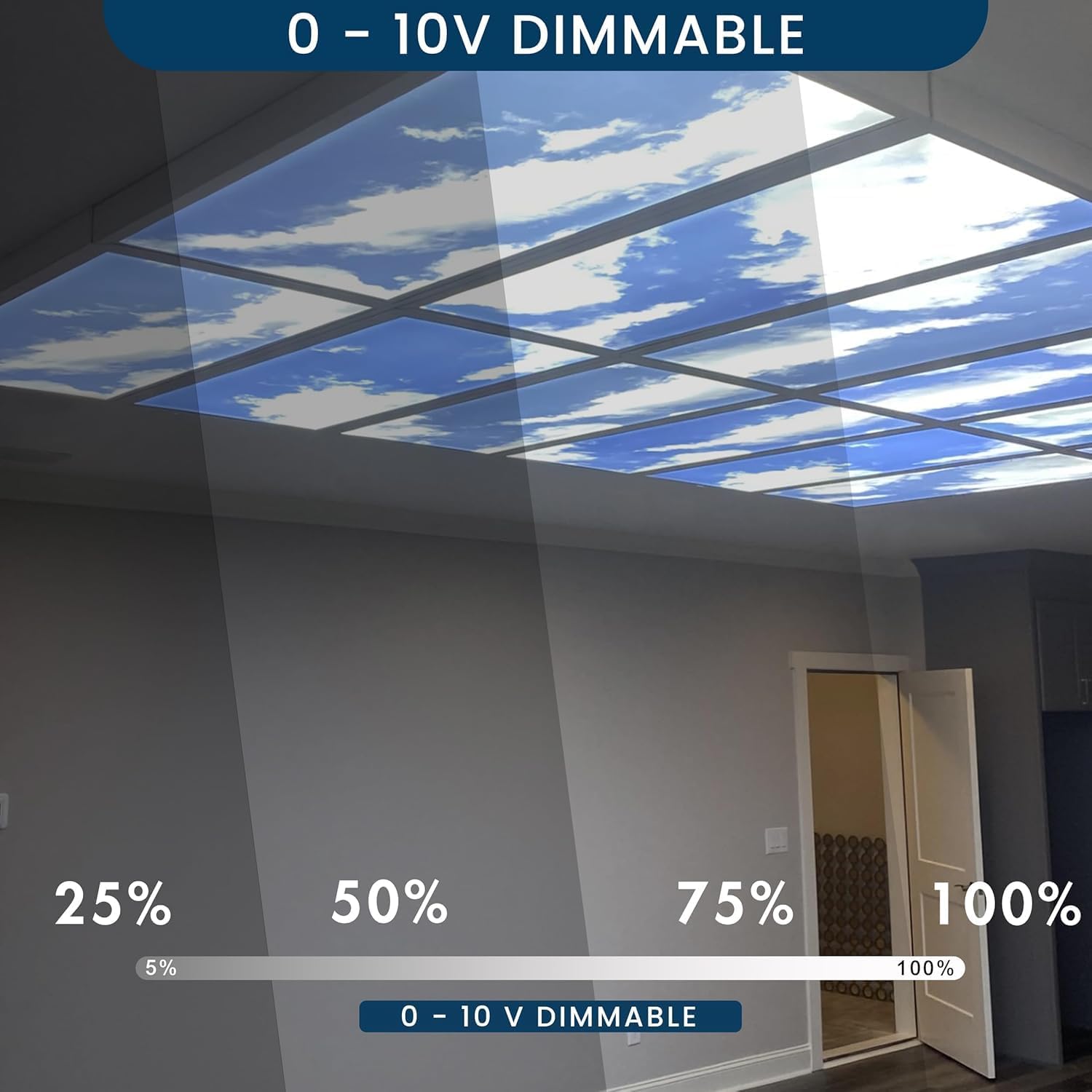 2x2 FT LED Sky Light Flat Panel, 40W, Color Temperature: 6500K, Dimmable Recessed Drop Ceiling Lights, 5000 Lumens, Lay in Fixture for Office, 120-277V, LED Sky Panel Lights ETL Listed (4 Pack)