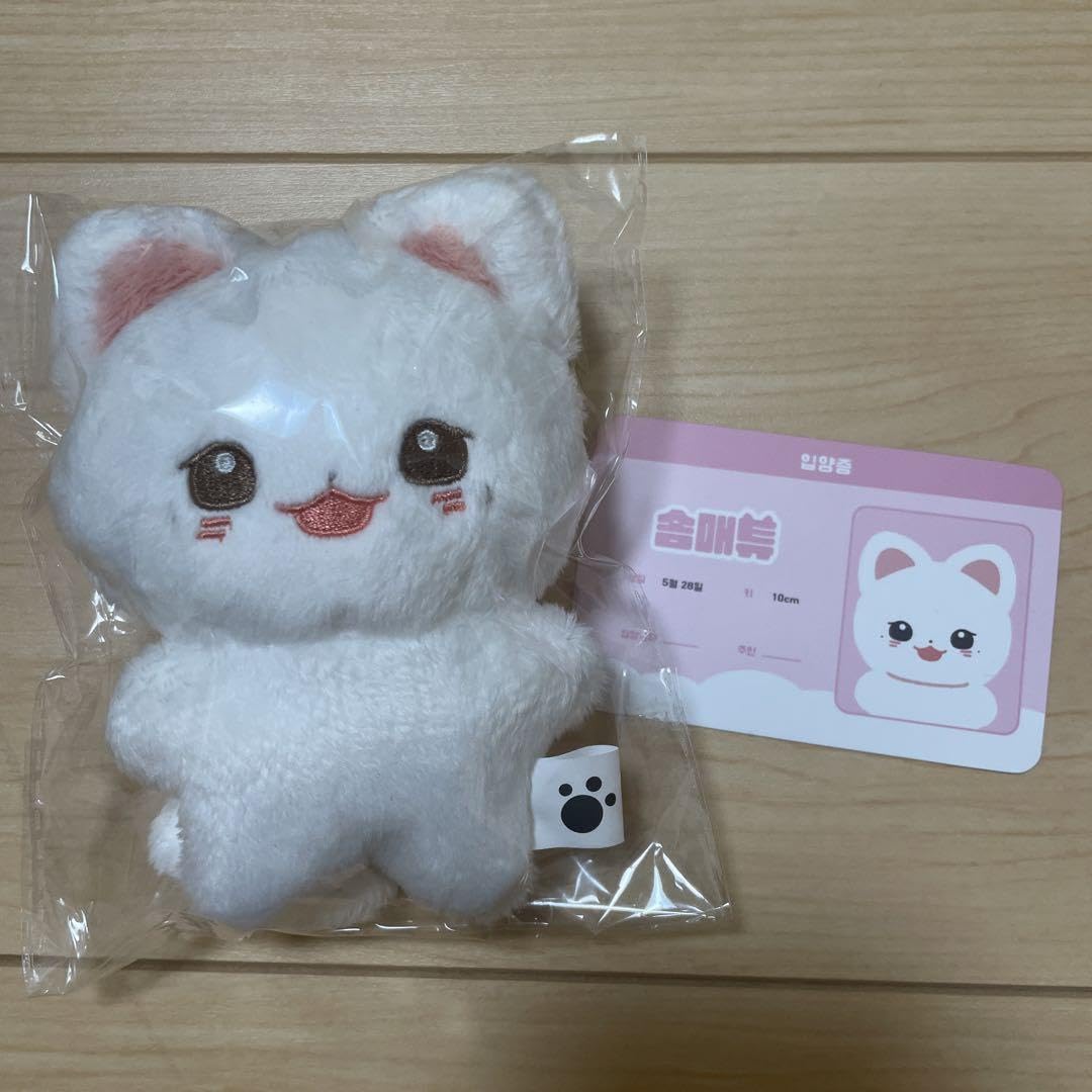 ZB1 zerobaseone ゼベワン マシュー ぬいぐるみ 10cm 61l1lPLrQAL._AC_UF350,