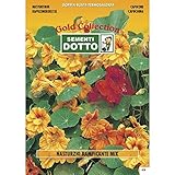 Sementi Dotto