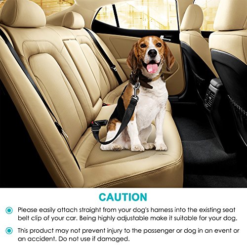 MAXIN Cane Cintura di Sicurezza (2pcs / Pack)