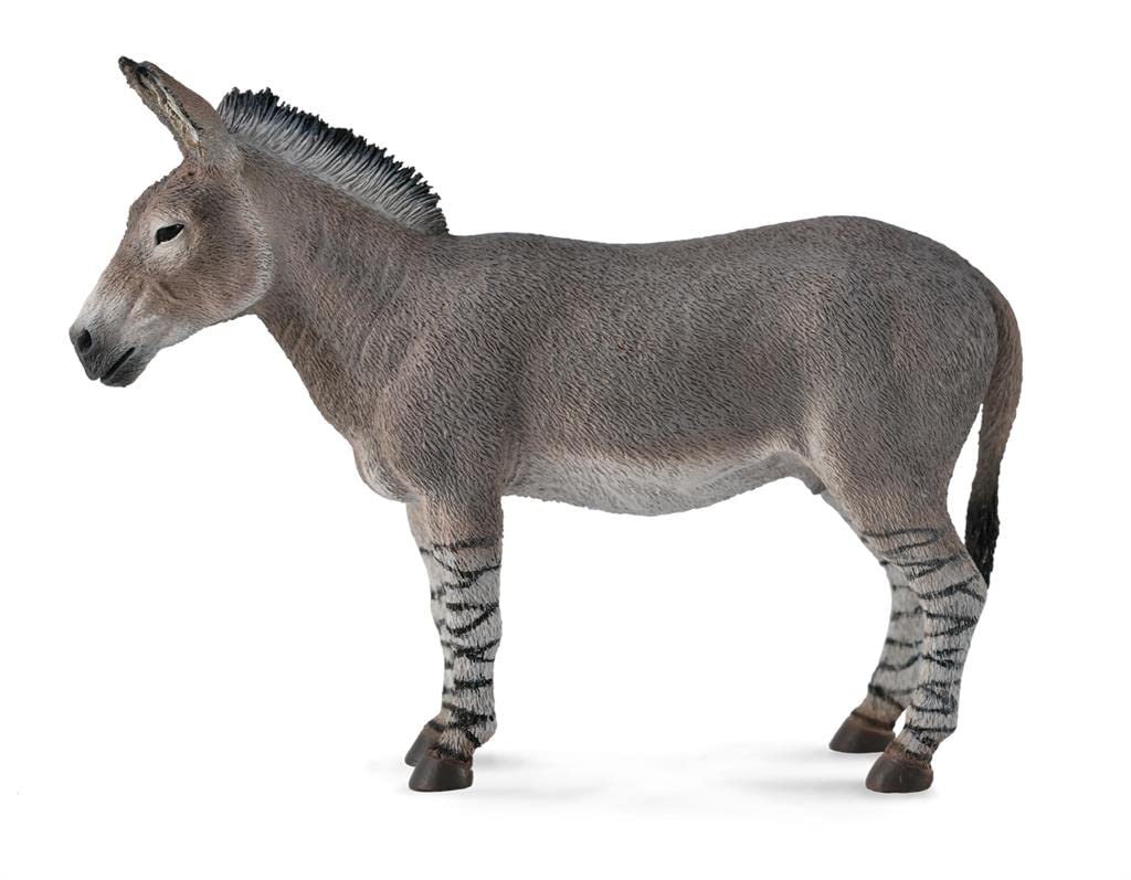 Amazon.co.jp: アフリカロバ 88664 : おもちゃ